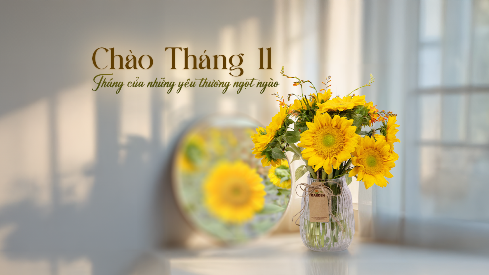 Chào tháng 11-1920x800